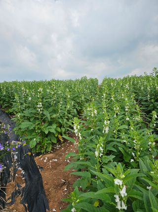 김문철님의 자유주제 · 자유게시판 작성글 사진