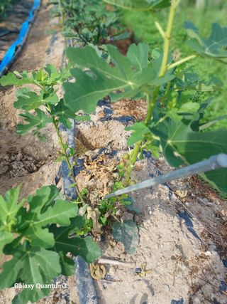 이창우님의 자유주제 · 자유게시판 작성글 사진