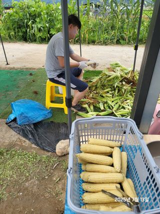 강정아님의 자유주제 · 자유게시판 작성글 사진