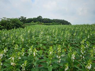 김문철님의 자유주제 · 자유게시판 작성글 사진
