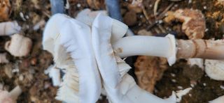 정재현님의 자유주제 · 자유게시판 작성글 사진