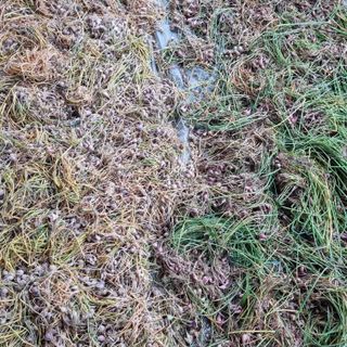 훈&팜님의 작성글 사진