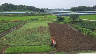 황규복(달구지)님의 자유주제 · 자유게시판 작성글 사진