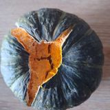 팜모닝 자유주제·자유게시판 게시글 이미지