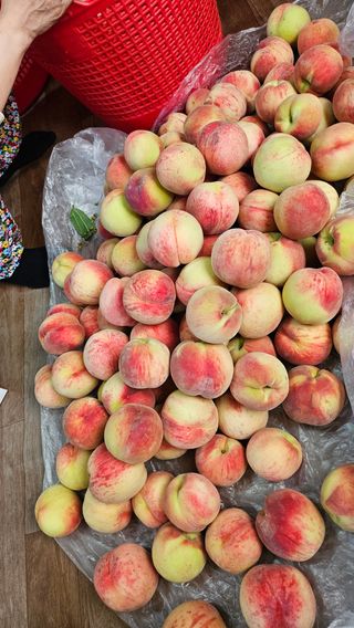 김호영님의 자유주제 · 자유게시판 작성글 사진