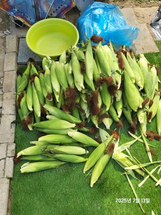 강정아님의 자유주제 · 자유게시판 작성글 사진