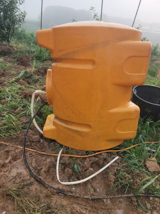 황금알대박농원!님의 작성글 사진