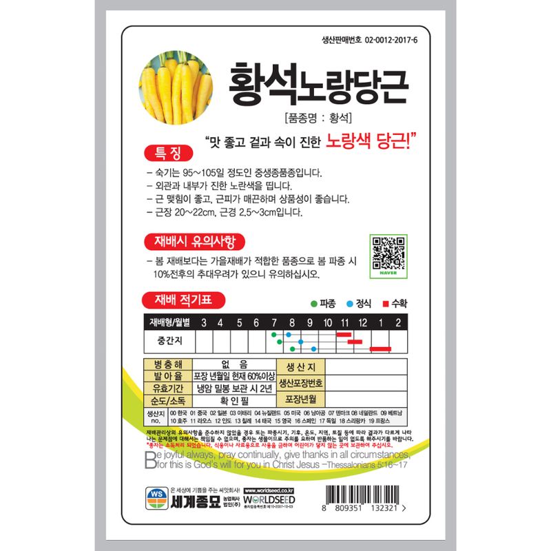 주주씨앗님의 장터 판매 상품 [[세계] 황석노랑당근 500립 당근씨앗 노란당근] 첨부 사진