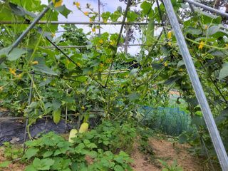 원빈님의 자유주제 · 자유게시판 작성글 사진