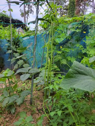 원빈님의 자유주제 · 자유게시판 작성글 사진