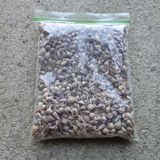 팜모닝 · 게시글 이미지