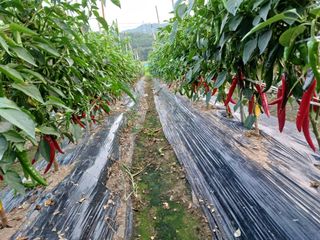 이정민님의 자유주제 · 자유게시판 작성글 사진