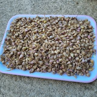 훈&팜님의 작성글 사진