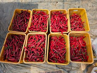 김문철님의 자유주제 · 자유게시판 작성글 사진