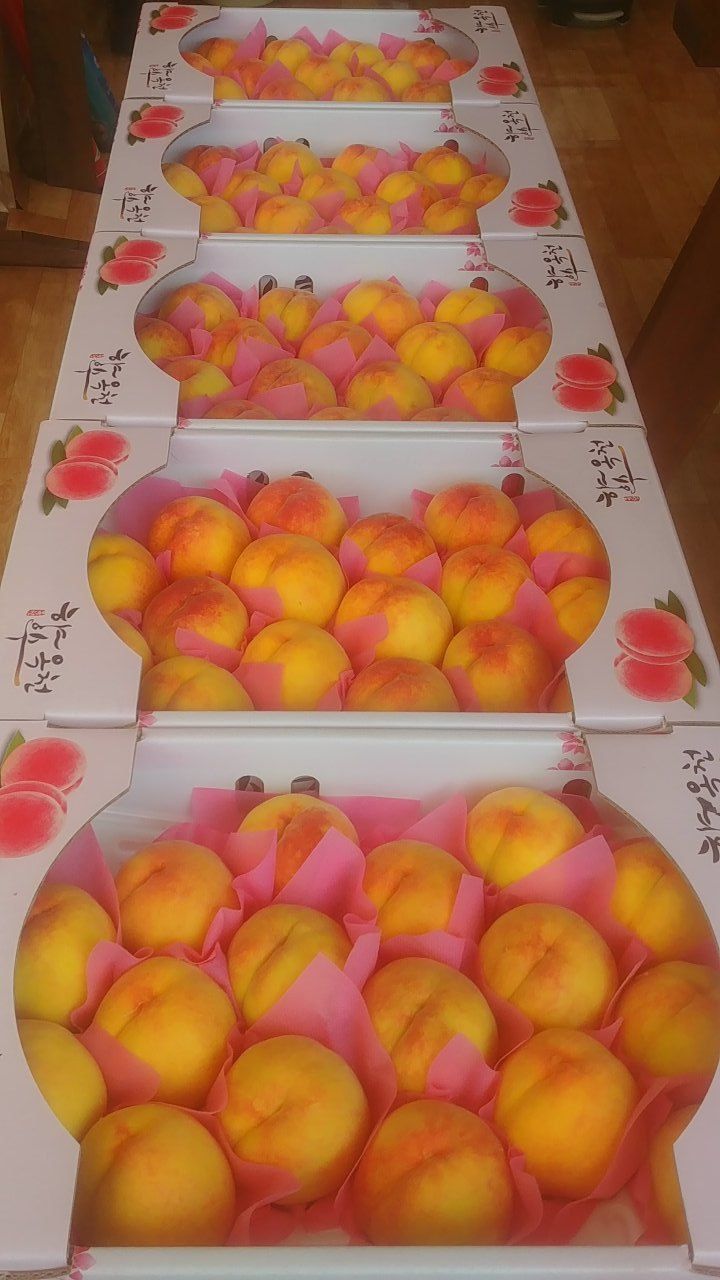 장터 상품 [[판매종료]비가림 용택골드 복숭아 4Kg (GAP인증 우수농산물)] 썸네일