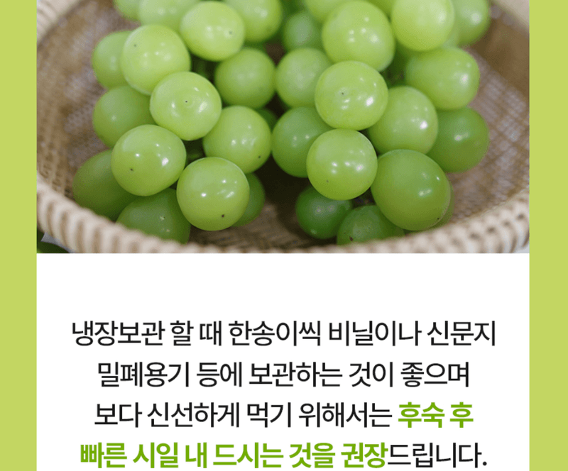 스피드번님의 장터 판매 상품 [고당도 샤인머스켓] 첨부 사진