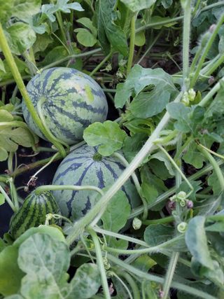 원빈님의 자유주제 · 자유게시판 작성글 사진