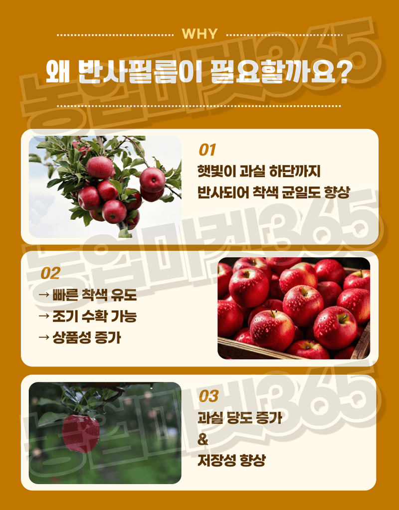 농업마켓365님의 장터 판매 상품 [농업용 다공반사필름 고연성 1.5m 비닐하우스 착색증진 당도증가 햇빛반사 광합성증진] 첨부 사진