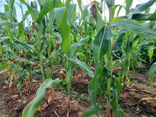 이정민님의 자유주제 · 자유게시판 작성글 사진