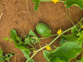 장안님의 자유주제 · 자유게시판 작성글 사진