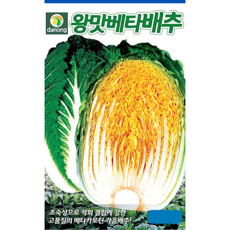 장터 상품 [[다농] 왕맛베타배추 300립 배추씨앗 종자 김장배추 항암배추] 썸네일