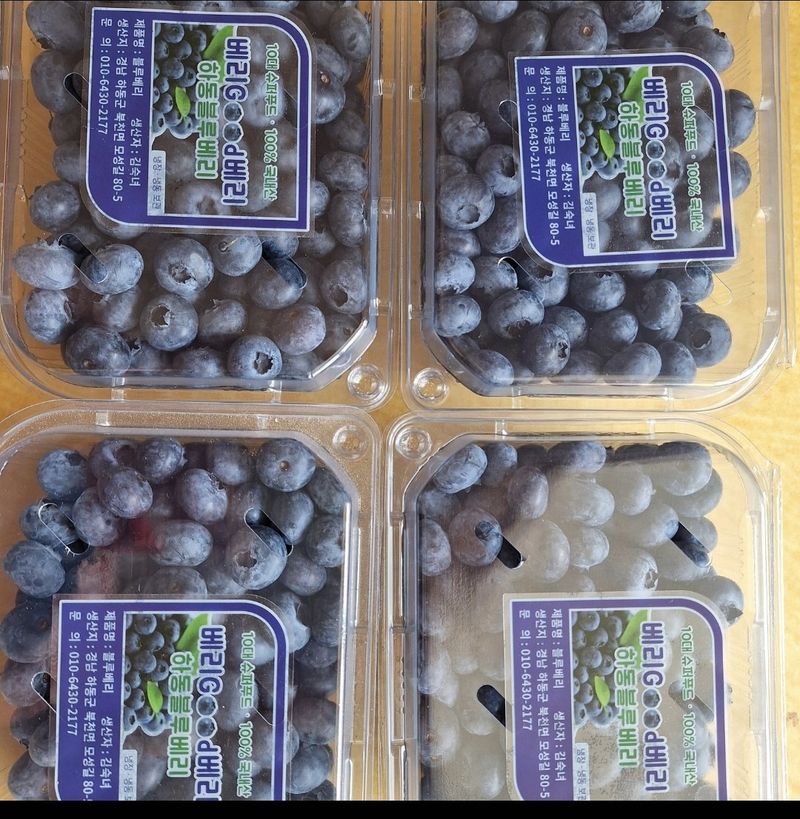 하동베리굿베리팜님의 장터 판매 상품 [국내산 생과 블루베리1kg] 첨부 사진