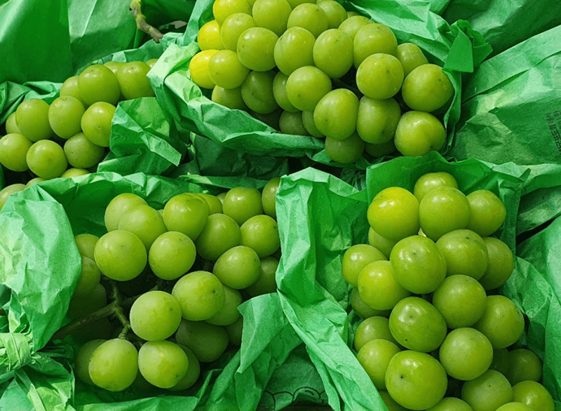 스피드번님의 장터 판매 상품 [고당도 샤인머스켓] 첨부 사진