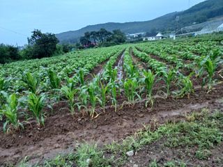 이정민님의 자유주제 · 자유게시판 작성글 사진