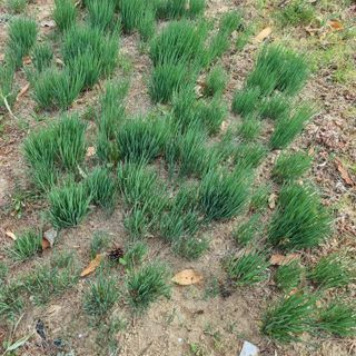 훈&팜님의 작성글 사진