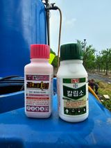 팜모닝 자유주제·자유게시판 게시글 이미지