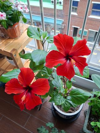 혁이네농원님의 자유주제 · 자유게시판 작성글 사진