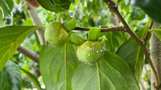 사랑해민채님의 자유주제 · 자유게시판 작성글 사진