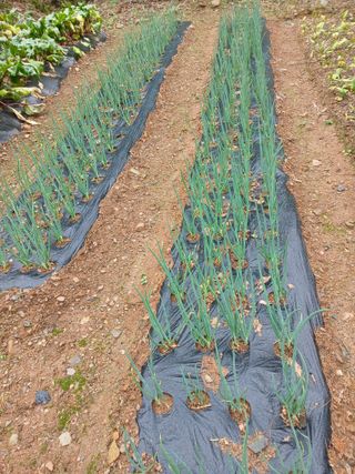 인생은 소풍처럼님의 자유주제 · 자유게시판 작성글 사진