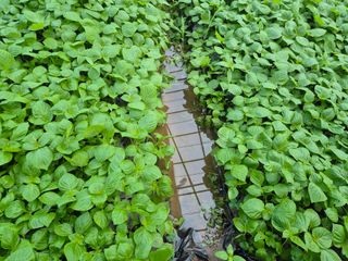 준영농장 출석왕.님의 자유주제 · 사진전 작성글 사진