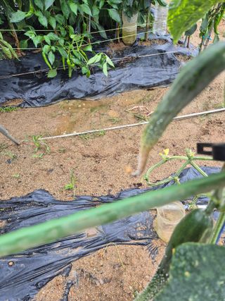 우리농장주님의 자유주제 · 자유게시판 작성글 사진