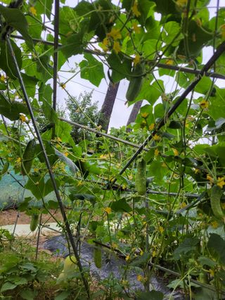 원빈님의 자유주제 · 자유게시판 작성글 사진