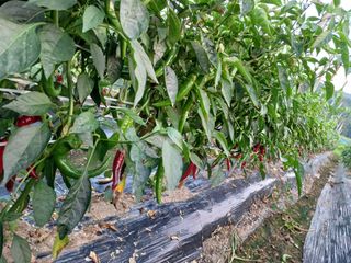 이정민님의 자유주제 · 자유게시판 작성글 사진