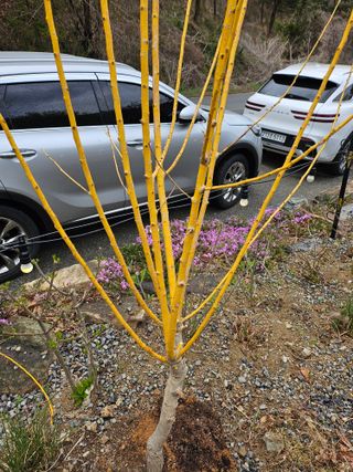 김강호님의 자유주제 · 자유게시판 작성글 사진