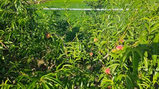 김호영님의 자유주제 · 자유게시판 작성글 사진