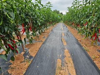 김문철님의 자유주제 · 자유게시판 작성글 사진