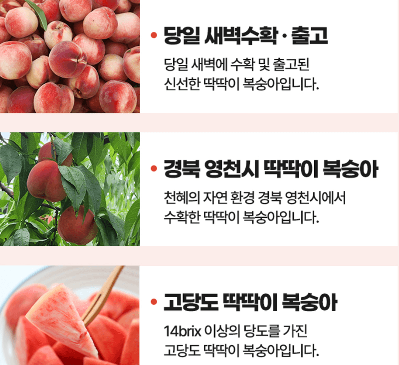 스피드번님의 장터 판매 상품 [(특가) 딱딱이 털복숭아] 첨부 사진