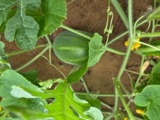 장안님의 자유주제 · 자유게시판 작성글 사진