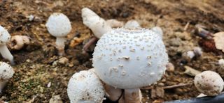 정재현님의 자유주제 · 자유게시판 작성글 사진