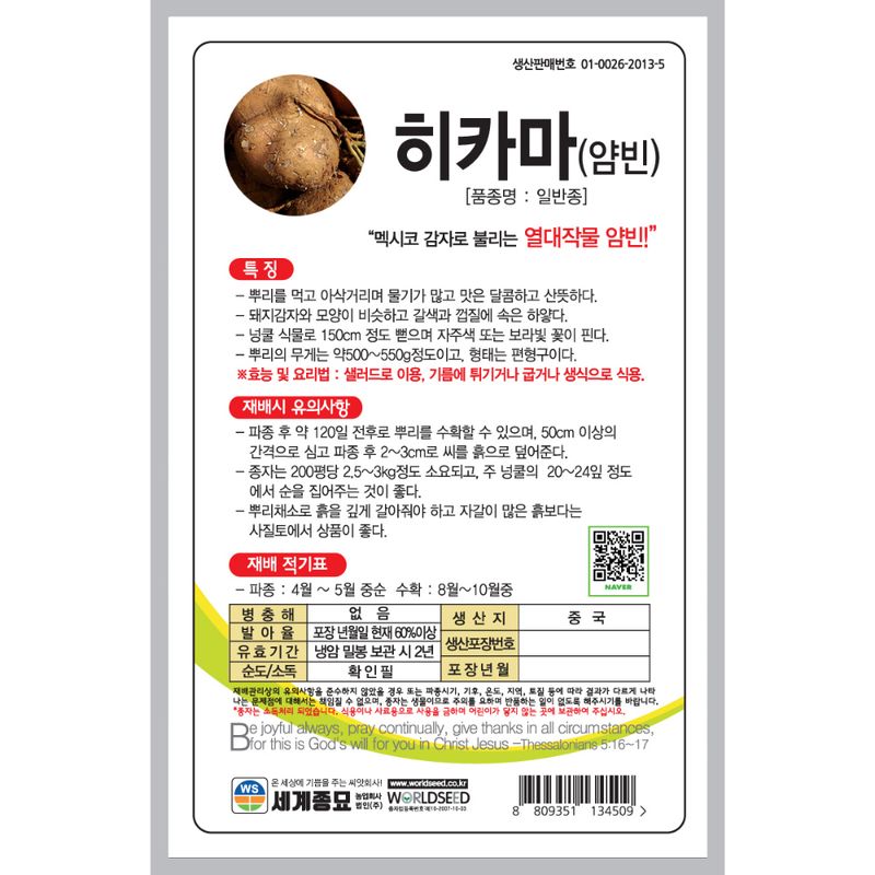 주주씨앗님의 장터 판매 상품 [[세계] 히카마 50립 얌빈 히카마씨앗 ] 첨부 사진