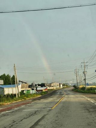 대산농사대장님의 고추 · 비료•농약 작성글 사진