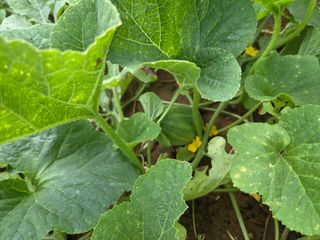 장안님의 자유주제 · 자유게시판 작성글 사진