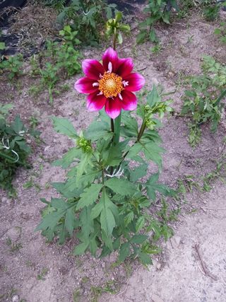 혁이네농원님의 자유주제 · 자유게시판 작성글 사진