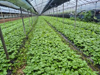 준영농장 출석왕.님의 자유주제 · 사진전 작성글 사진