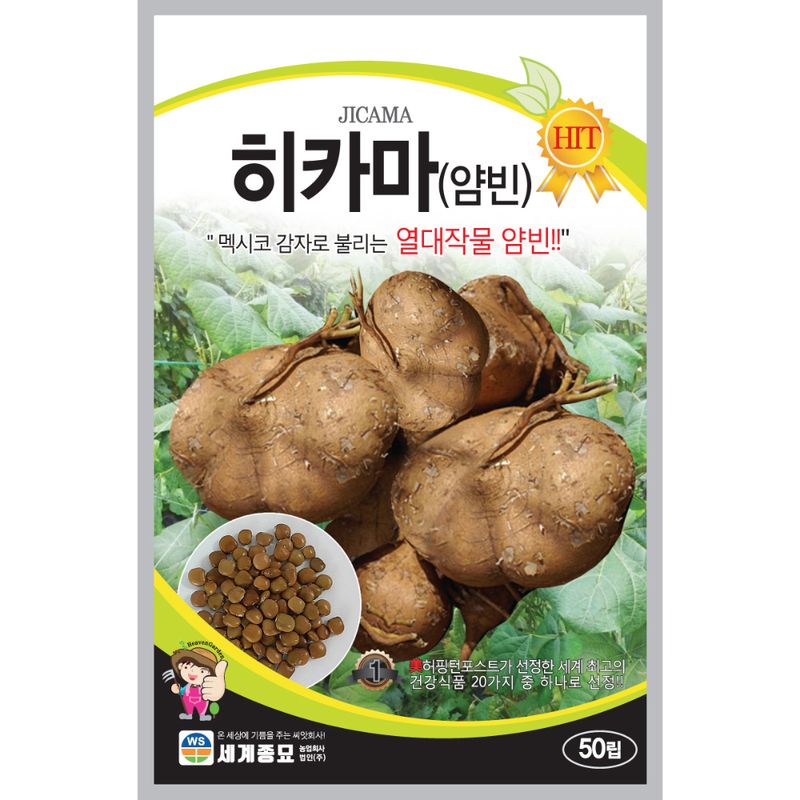 장터 상품 [[세계] 히카마 50립 얌빈 히카마씨앗 ] 썸네일