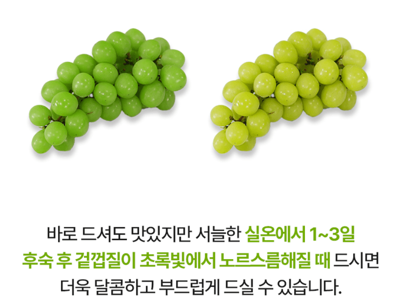 스피드번님의 장터 판매 상품 [고당도 샤인머스켓] 첨부 사진